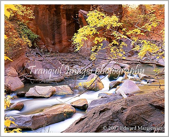 450482---Rapids along the Virgin River, Utah